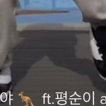 야얘들아 <b>이런</b> <b>신발</b>은 어디서 사는거니