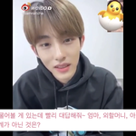 [NCT즌] 그냥 하염없이 웃게 되는 영상 1위