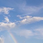 가수 그룹도 <b>stay</b>라는 가수가 있네?