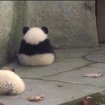 [댓글부탁해] <b>어색</b>한 친구랑 안 <b>어색</b>하게 놀려면 뭐해야됌??