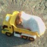 [추반] 야야야야야야야 아이폰