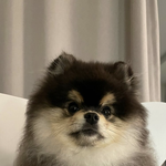 얘들ㅇ아 영화 뭐 볼까