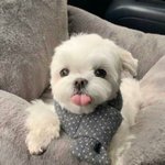 <b>생명</b>1 잘하는사람 들어와종
