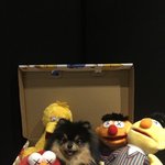 <b>연탄이</b> 사랑해