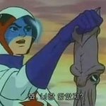 <b>안사랑</b>해