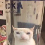 [추반] 추반 좀