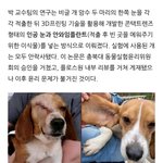 [도와주세요] 제발 비글아가들을 위해서 <b>청원</b>한번만..제발