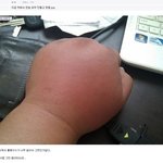 <b>와이</b>사람주먹봐
