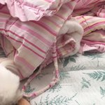 <b>흙내</b>나는 이불로 바꿈