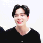 [트레저] 이거 나만 좋아하나