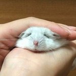 [댓글부탁해] 넷<b>플</b> 투<b>핫</b>있자나