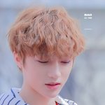 [TXT] <b>청순</b> 곰도리는