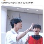 [NCT즌] 나 요즘 마크가 너무좋다..?