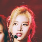 [드루와] 얘들아 그 카페 이름 뭐였지?