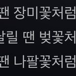 필 땐 <b>장미꽃</b>처럼