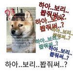 [NCT즌] 하악 <b>보리</b>