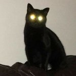 <b>자라</b> 옷들 가격이 보통 얼마정도해??