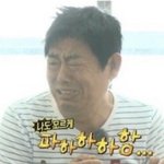 jlpt 본 애들 있냐???
