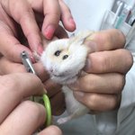 나 고3 김판녀 알<b>바에</b> 환상잇다.