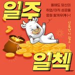 잡코리아 일주일첵 이벵 공유한다