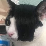 플래너 <b>모트</b>모트꺼가 제일 좋음??
