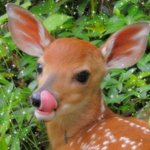 나 <b>흉통</b> 많이 큰 편임?