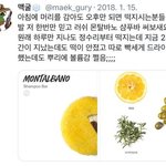 나 영어 천재임