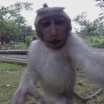 [댓글부탁해] <b>Entp</b> 어때