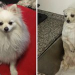 [댓글부탁해] <b>해석남녀</b>에 댓글 올라오는 거 있잖아