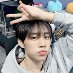 [더보이즈] 너구리 부었대