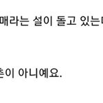 [명탐정코난] 와 차라리 엘레나랑 자매인게 다행이네