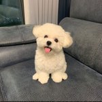 [댓글부탁해] <b>겉옷</b> 모 입지