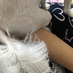 아 개<b>묵직</b>해