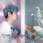 [TXT] <b>수빈</b>이 물고기랑 교감하는거 보고ㅋㅋㅋ