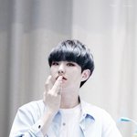 <b>호시</b> 목격담
