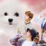 [NCT] 대갈이 <b>가족사진</b>