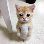 [19] <b>빛삭</b>