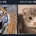 [NCT] 이태용 대 <b>이</b><b>띠</b>용