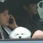 너 몬데 우리옵빠 꼬<b>라바</b>