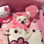 [댓글부탁해] 방금 <b>남친</b> 연락<b>문제</b> 쓰니인데