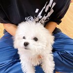 [NCT즌] 근데 드림은 <b>숙소</b>