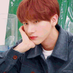 오늘은 저희 집 고양이의 생일입니다
