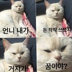 여쿨라님들 들어와주세여