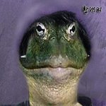 여기는 여전히 진보도 없고 <b>발전</b>도 없고~~~