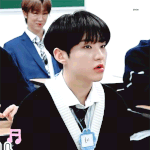 [드루와] 세븐틴 멤버별 특징2