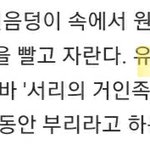 [진격의거인] 세계관때문에 <b>북유럽</b>신화 읽는뎈ㅋㅋㅋㅋ