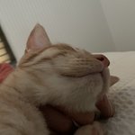 우리집  고영희덜~1