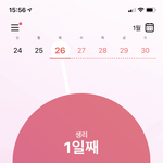 생리주기 71일