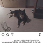 [모두드루와] +추가) 박은석(<b>로건</b>리) 추정 동기 폭로로 난리남