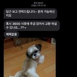 얘넨 내일<b>당장</b> 뒤지면 좋겠다